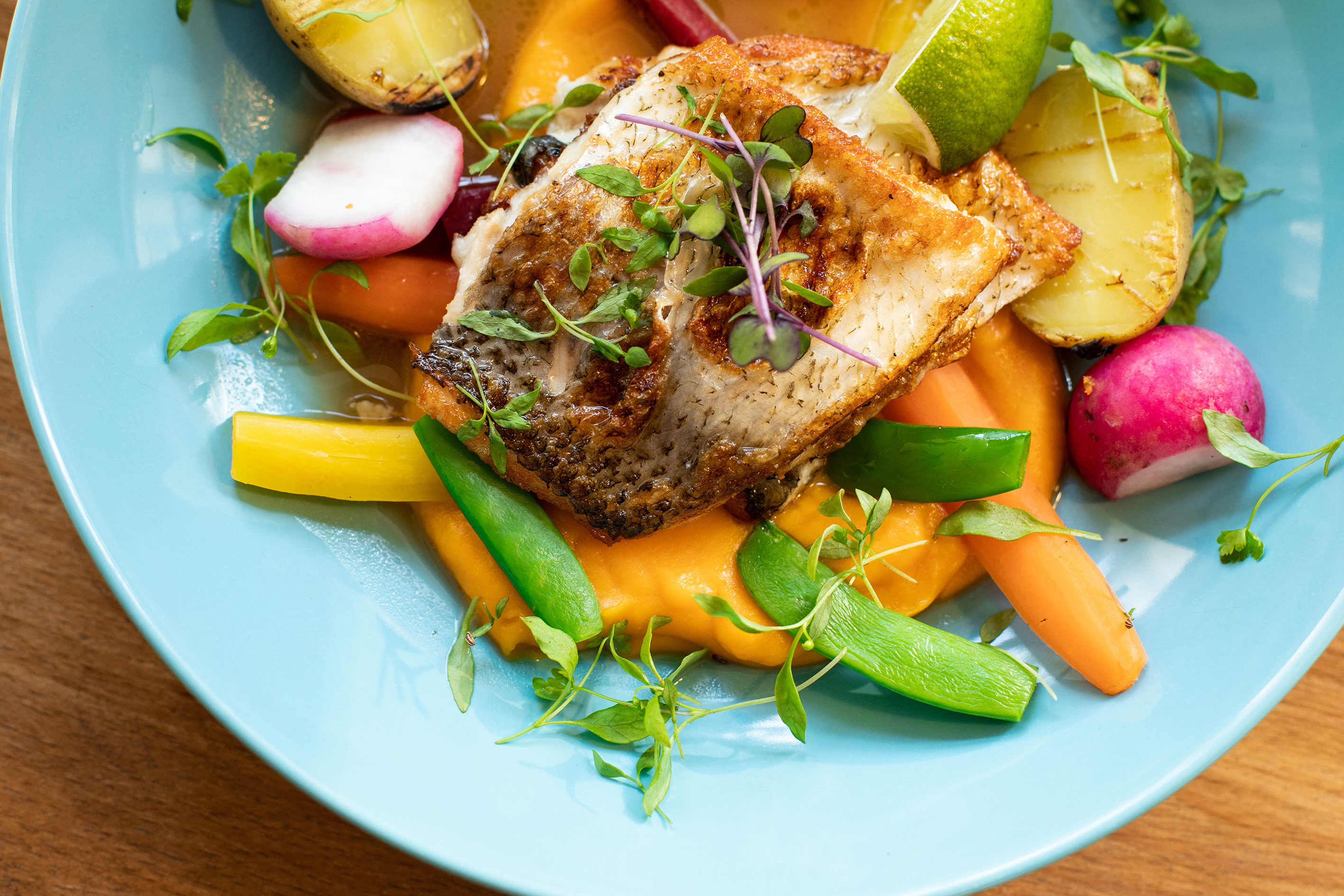 メインビジュアル1