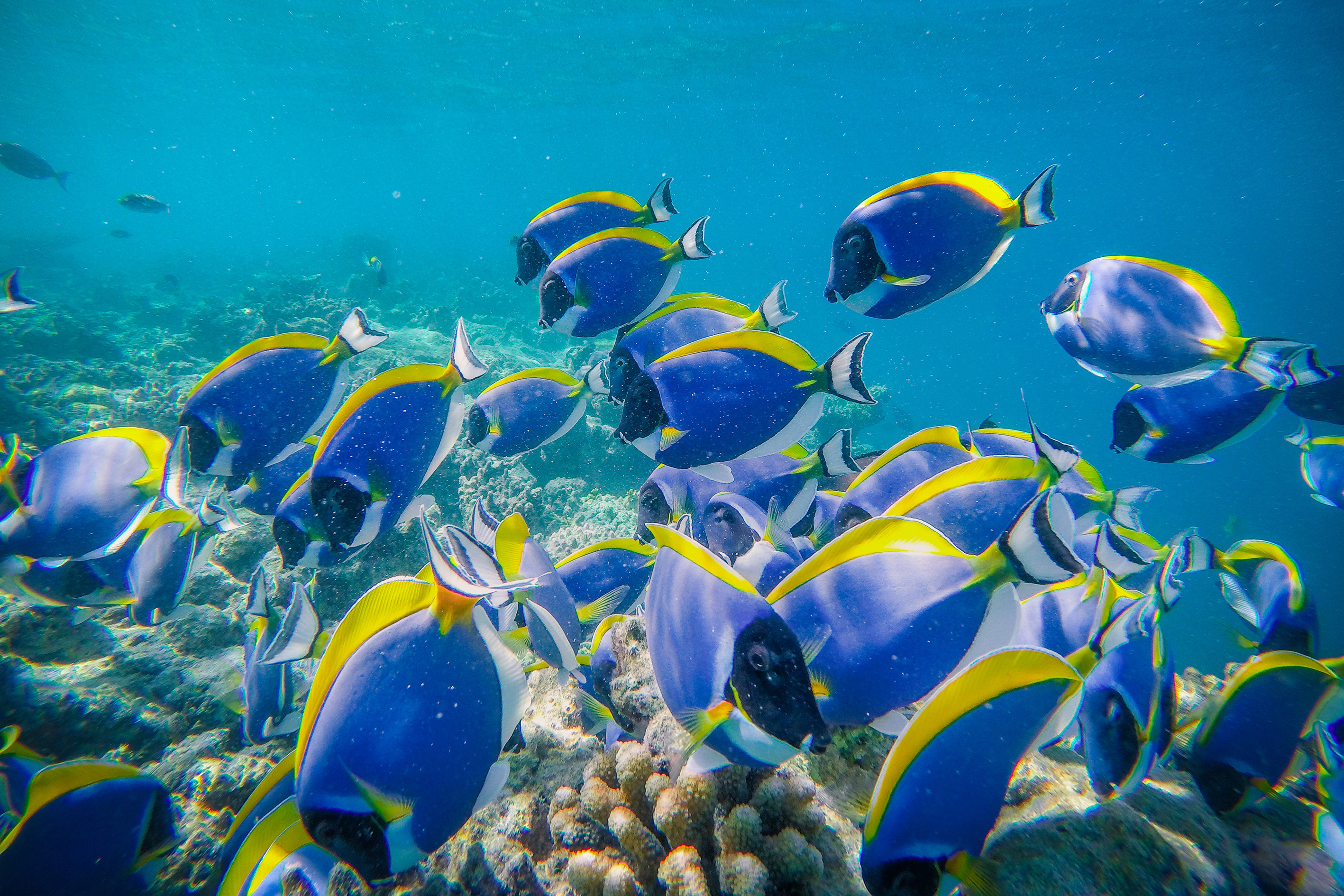 メインビジュアル2