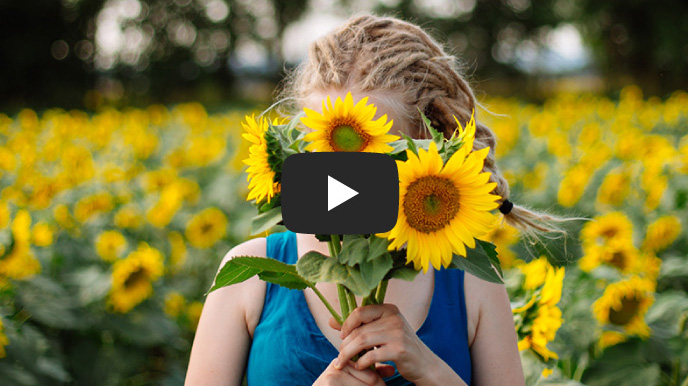 あの日の向日葵